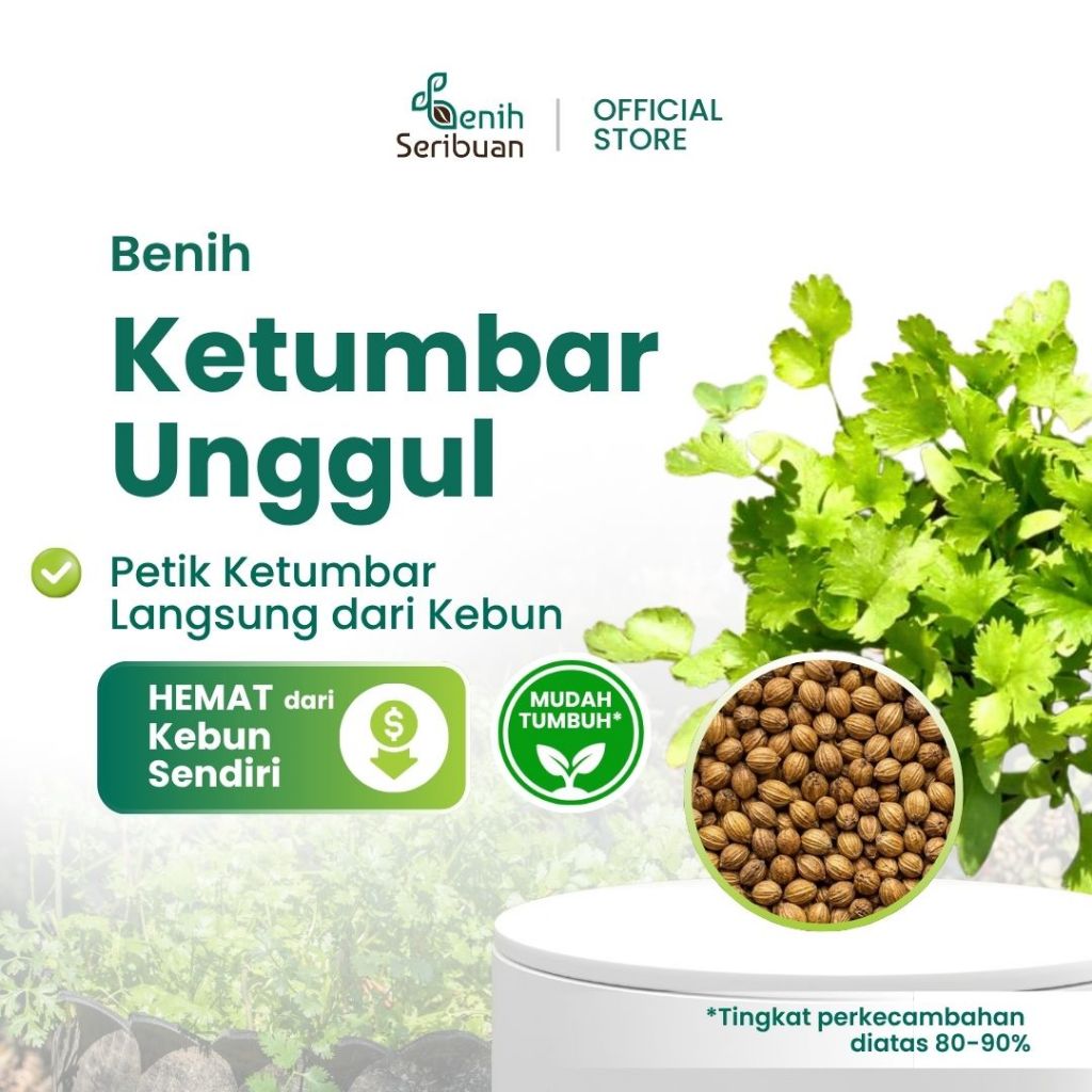 Benih Seribuan - 25 Benih Daun Ketumbar Favor Tanaman Herb Coriander
