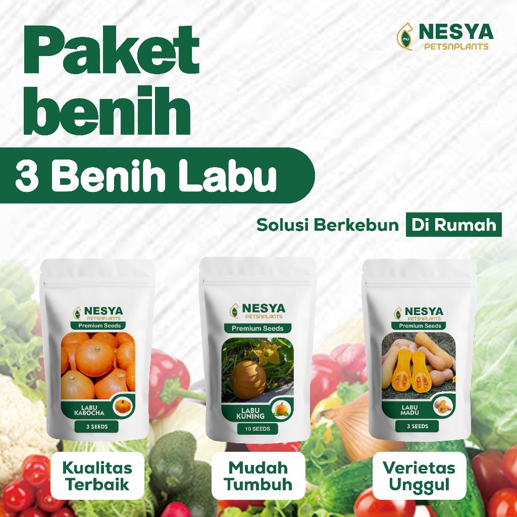 Paket Benih 3 Jenis Buah - Buahan Labu ( Labu Kuning, Labu Madu, Labu Kubocha)