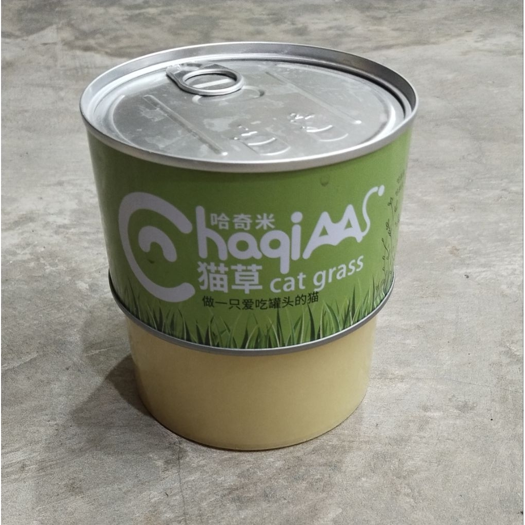 Cat Grass / Rumput Kucing Kaleng Rumput Kucing Bibit
