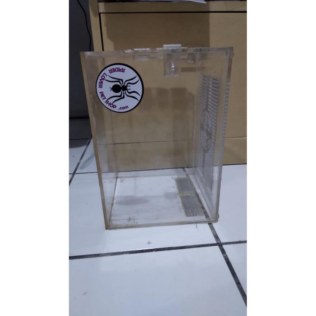 KANDANG AKRILIK TARANTULA REMAJA SAMPAI DEWASA 16 X 15 X 30 SECOND