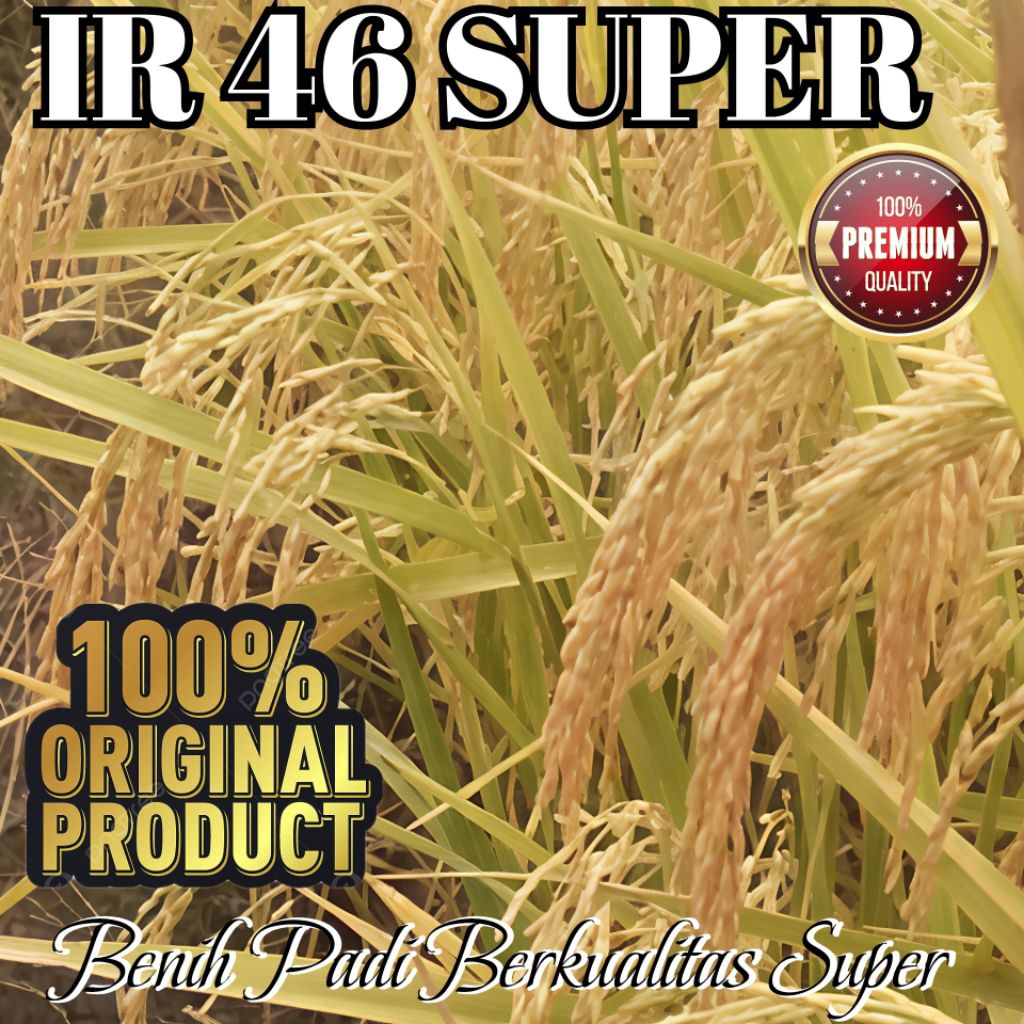 Bibit Benih Padi Terlaris IR 46 Berkualitas Unggul Super Premium Kemasan 5kg
