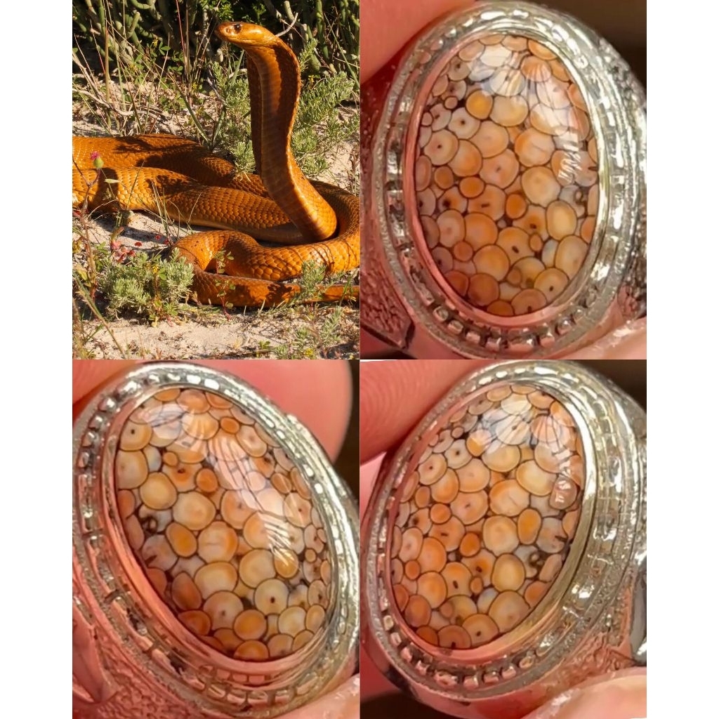 NATURAL CINCIN JHIPEN SISIK ULAR FULL SISIK ANTIK WARNA LANGKA TOP COLECTOR ITEM