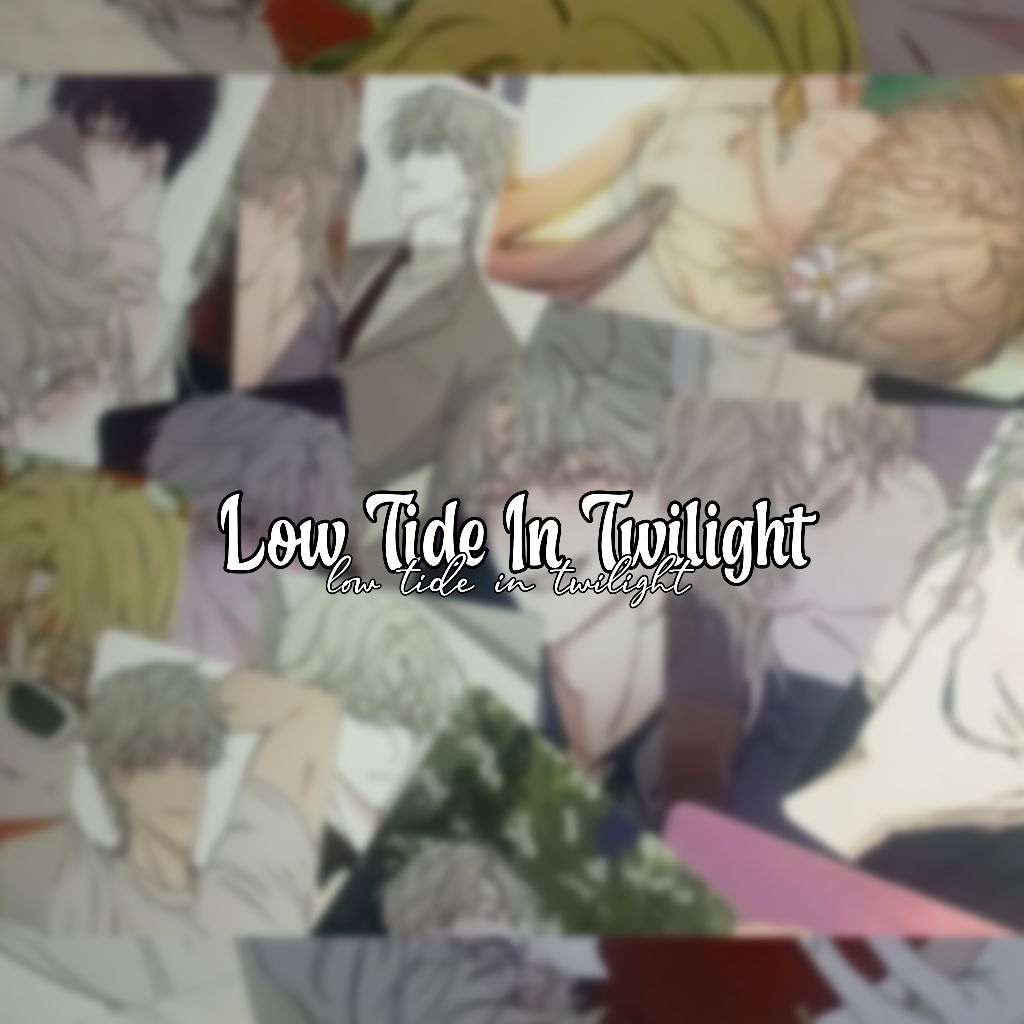 Low tide In twilight photocard
