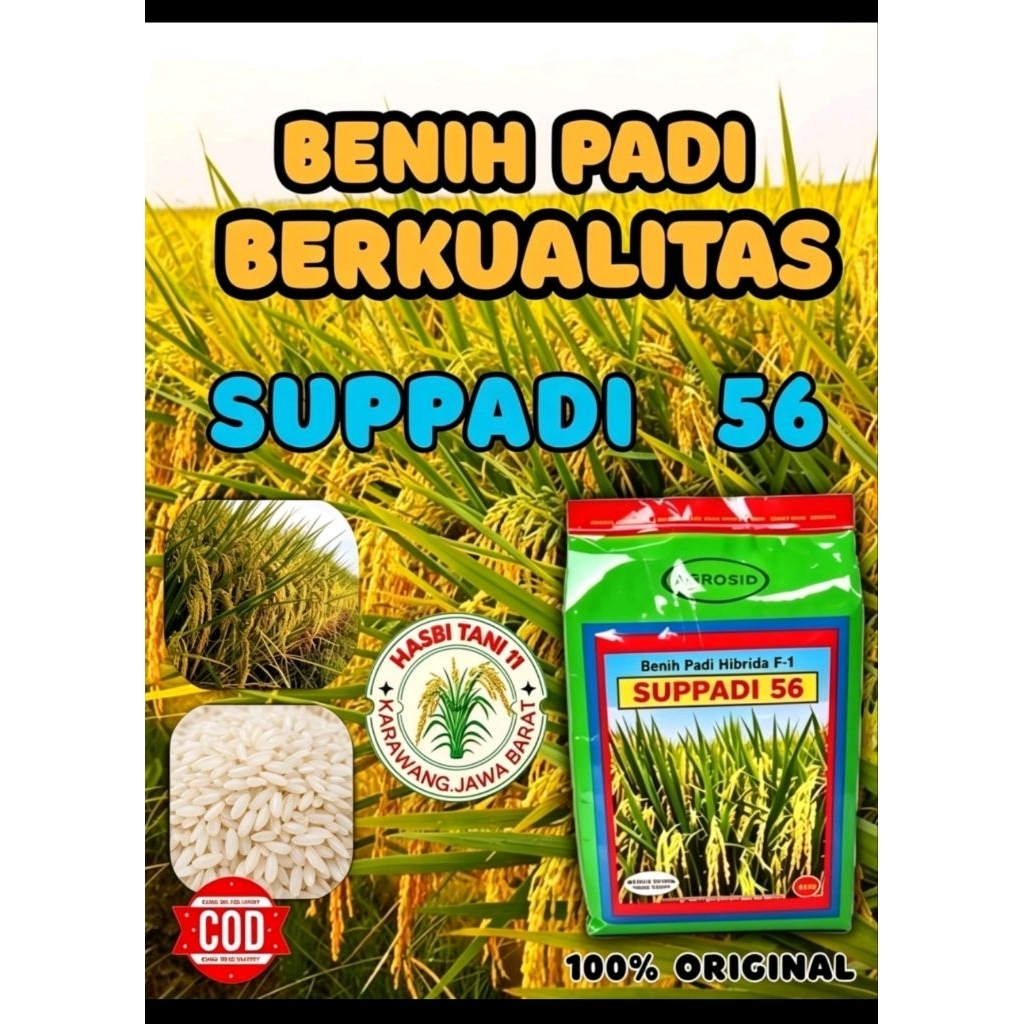 BENIH PADI SUPADI 56 BERKUALITAS KEMASAN 1KG
