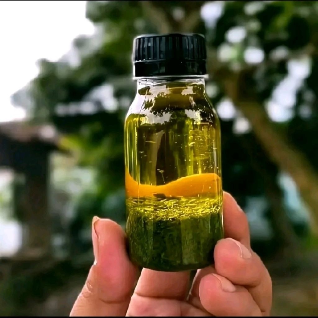 TERALARIS  Minyak Pijat Daun Tiga Jari Alvino Asli Papua Minyak Daun Bungkus Isi 30 ML diskon asli