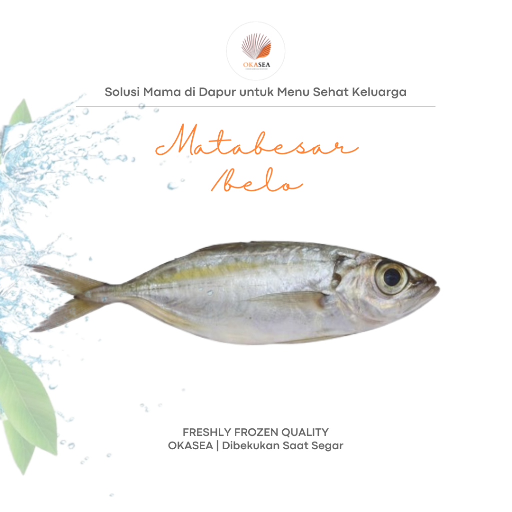 Ikan Mata Belo | Sudah Dibersihkan