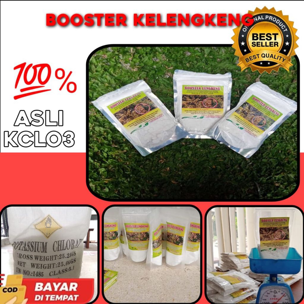 CEPAT BERBUAH  Booster Kelengkeng Buat Kelengkeng, Booster Kelengkeng Cair