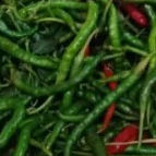 cabe hijau keriting 1kg