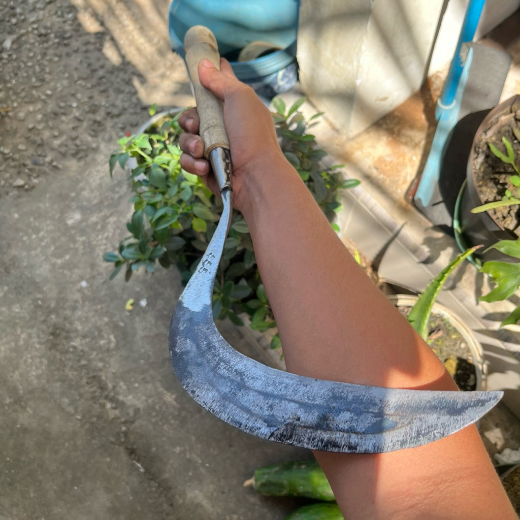 Pemangkas Sabit Baja/Arit Rumput Baja isen Asli Khas madura
