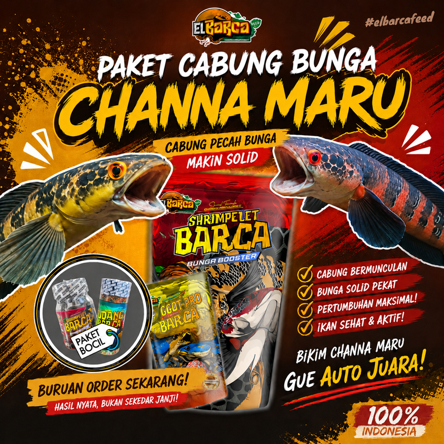 PAKET PAKAN PROGRESS BUNGA Channa Maru ys red pemecah Cabung & bunga solid xtra melanin guanin