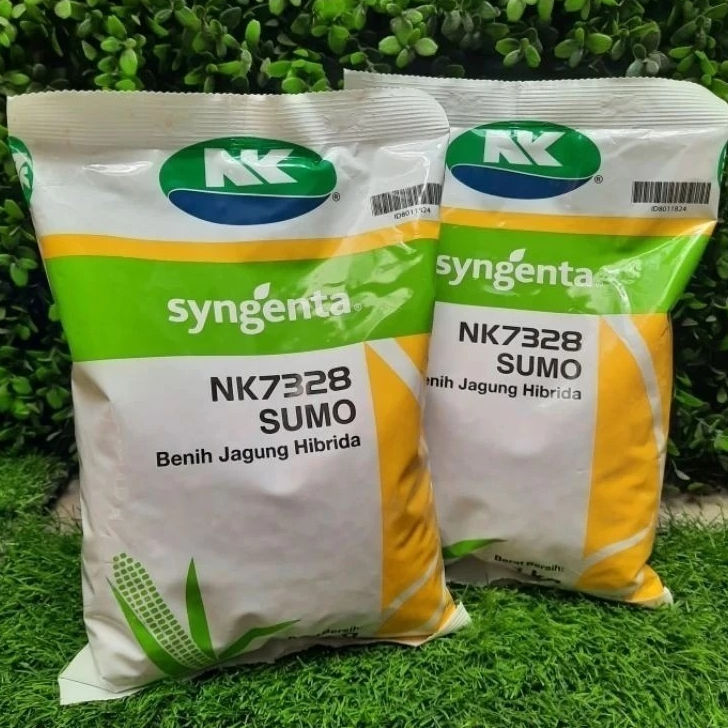 benih jagung nk syngenta nk7328 sumo benih jagung hibrida