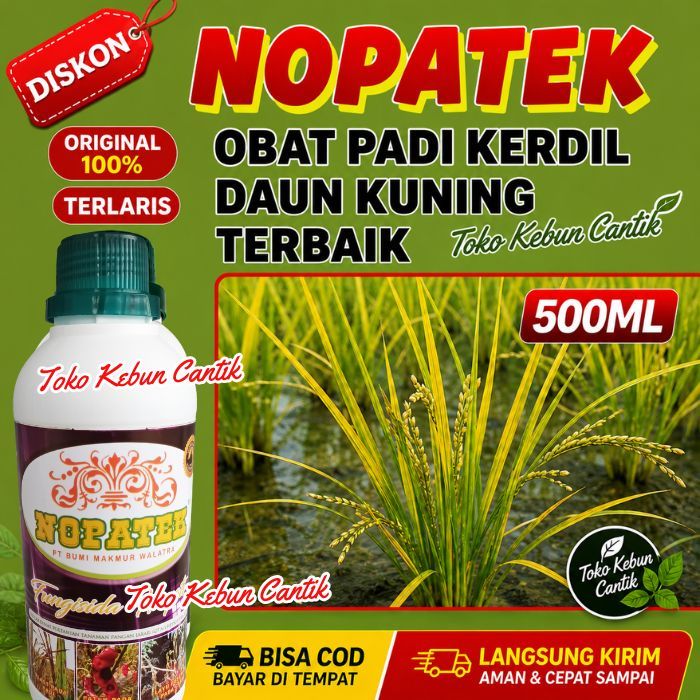 Obat Padi Bulai Daun Kuning Terbaik | NOPATEK Nutrisi Cair Lengkap Untuk Petani