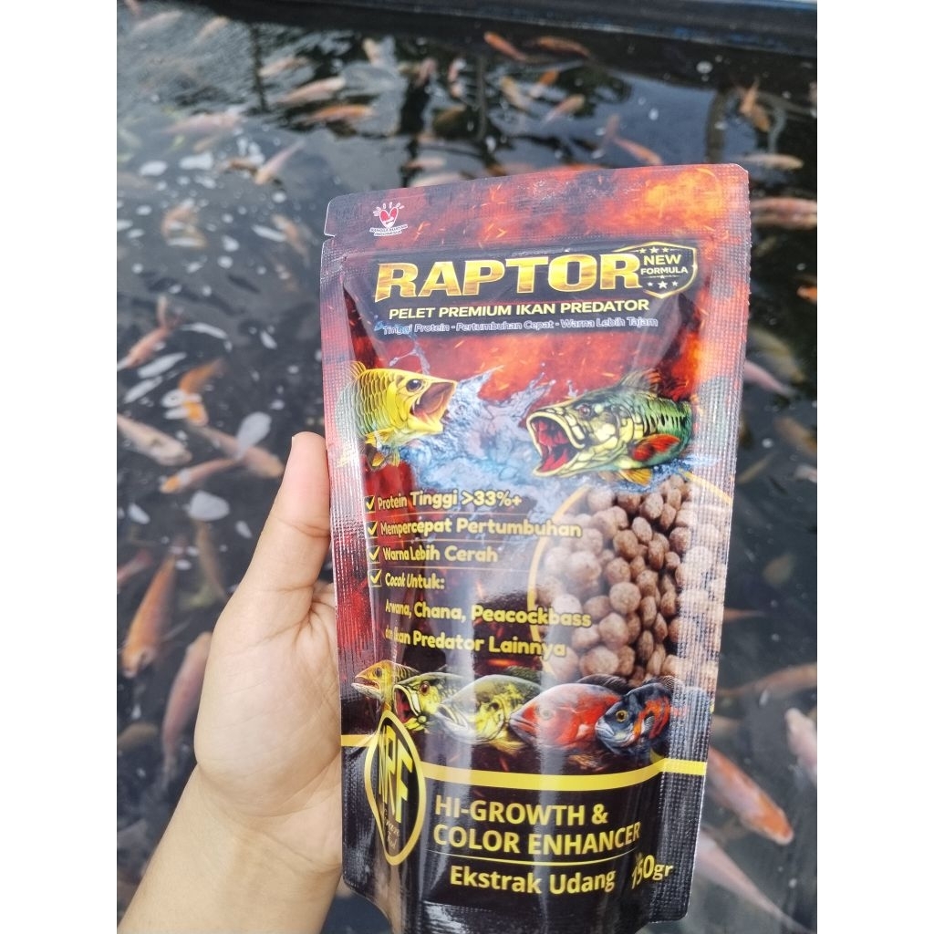RAPTOR PELET HUSUS IKAN PREDATOR, CHANA, OSKAR, ARWANA KEMASAN 150 GRAM