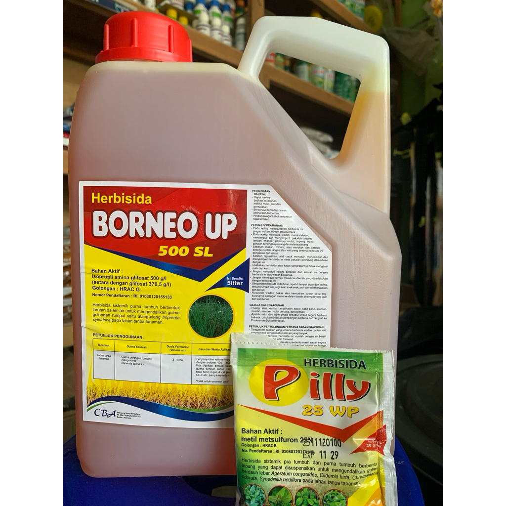 Herbisida Sistemik Borneo Up 500 SL kemasan 5 liter