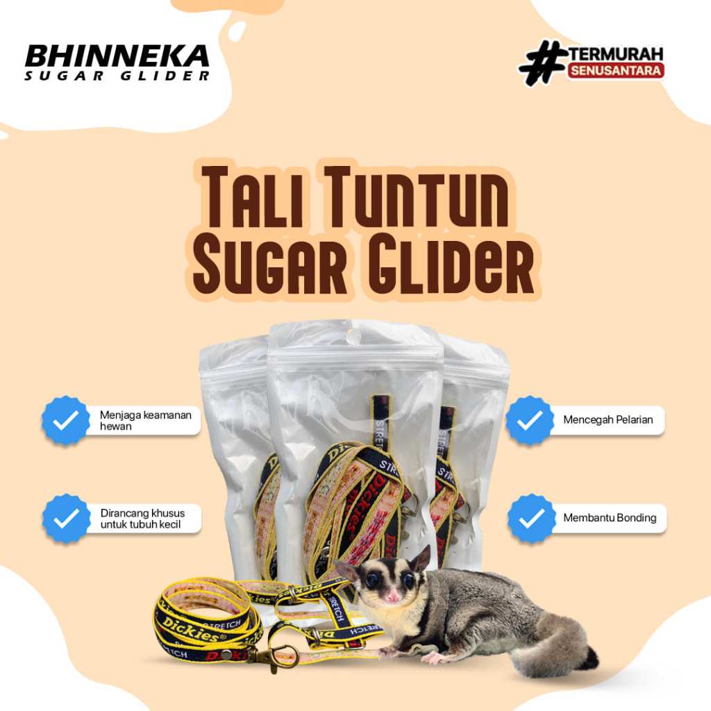 Tali Tuntun Hewan, Tali Pengaman Hewan Sugar Glider, Tupai Terbang, Iguana