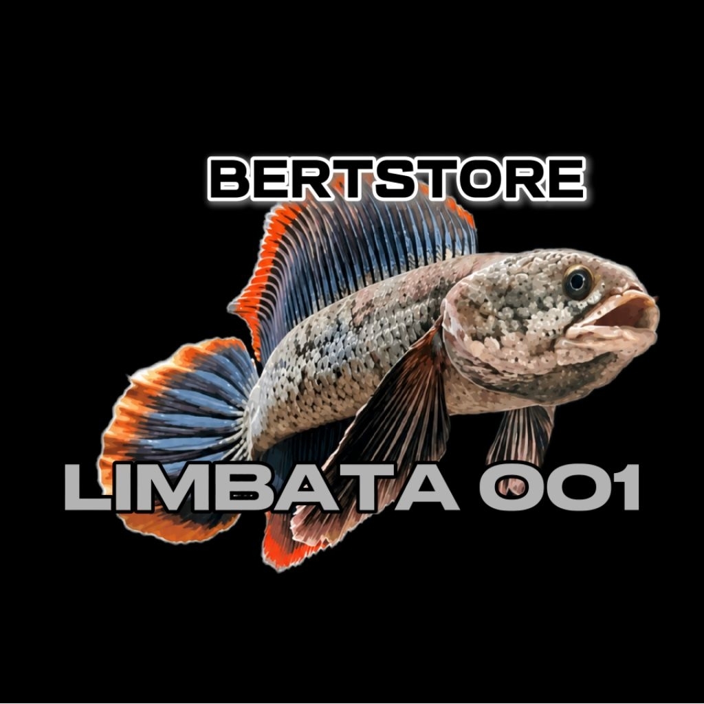 patung mainan chana limbata wc