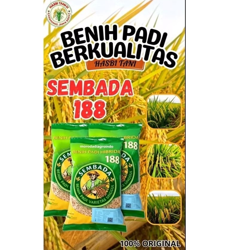 BENIH PADI SEMBADA 168 BERKUALITAS KEMASAN 1KG