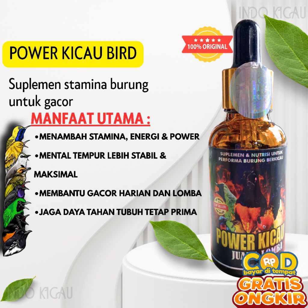 Power kicau bird 1x tetes berkhasiat nyata suplemen vitamin burung kicau juara