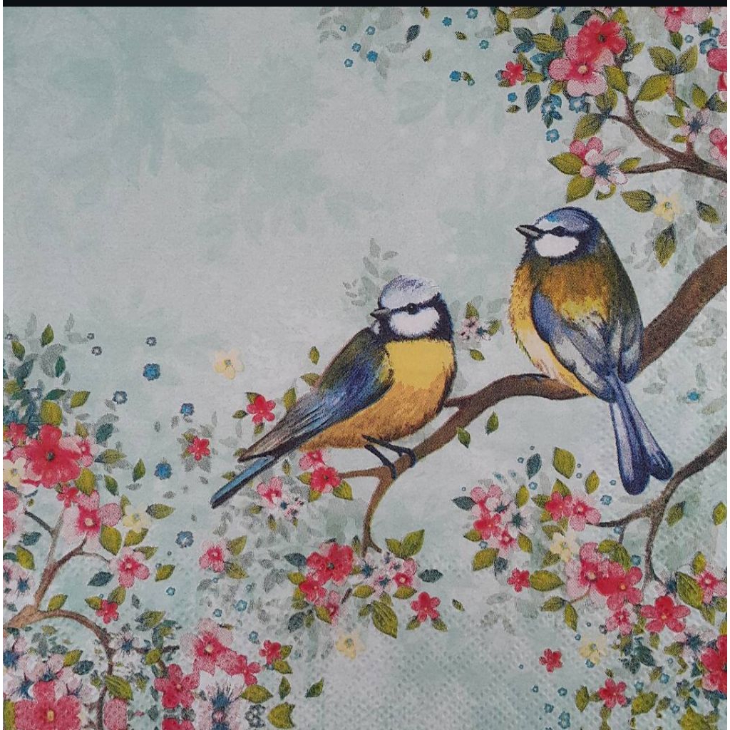 Tissue Decoupage Eropa