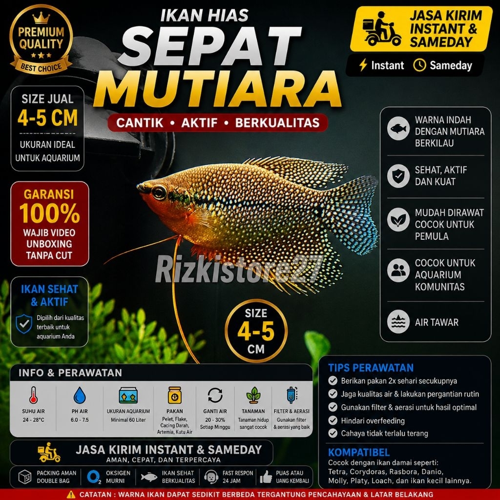 Ikan Hias Sepat Mutiara Size 4-5 Cm Aquarium Aquascape