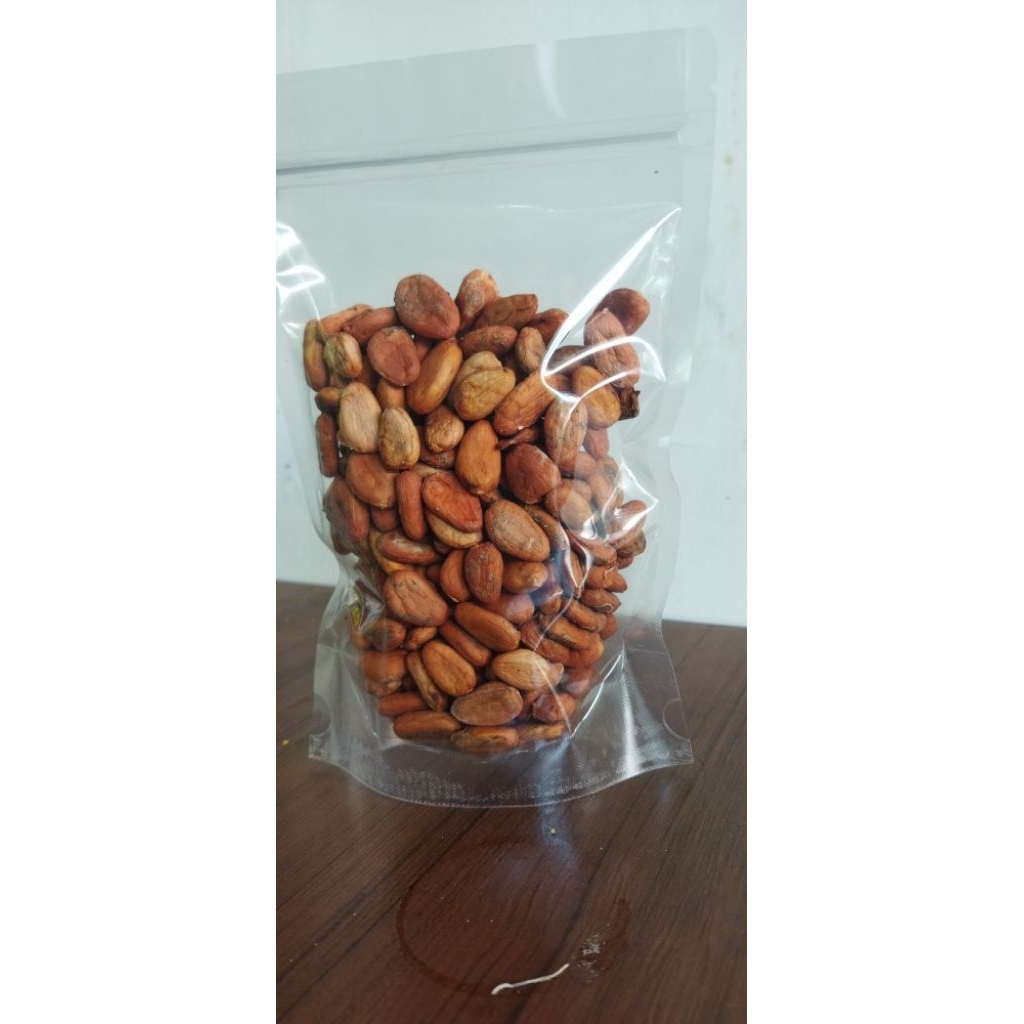 biji cocoa kering atau biji buah coklat kering