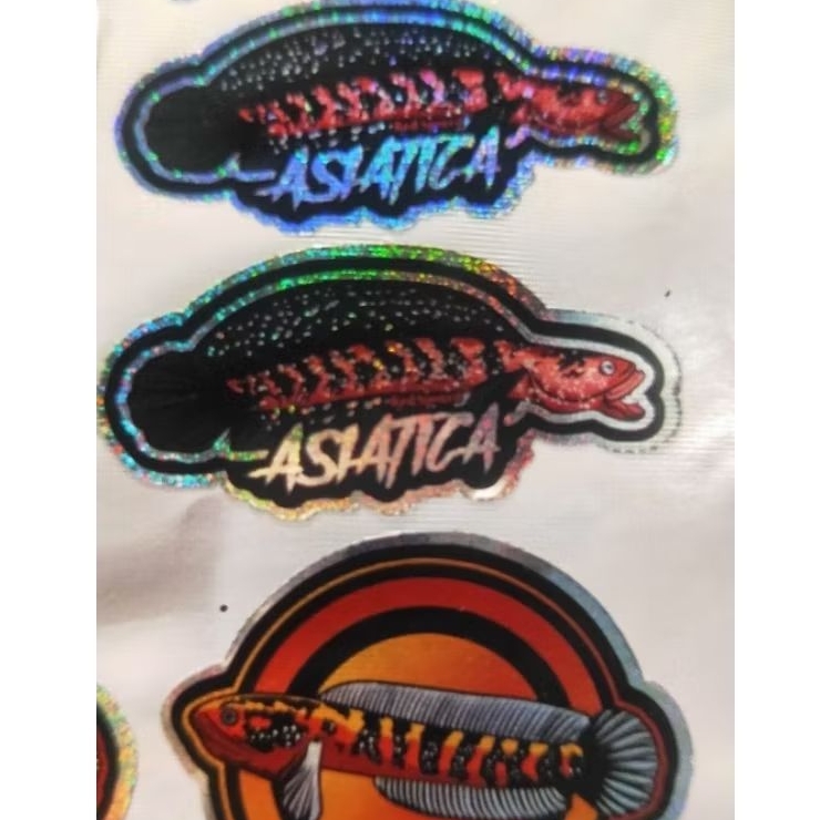 stiker channa asiatica KALIMAYA