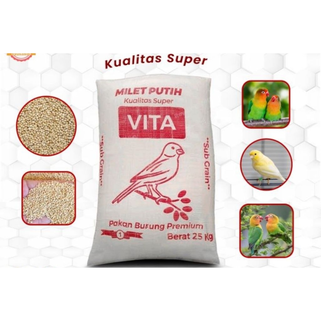 Milet yellow milet bijian kuning milet pakan burung