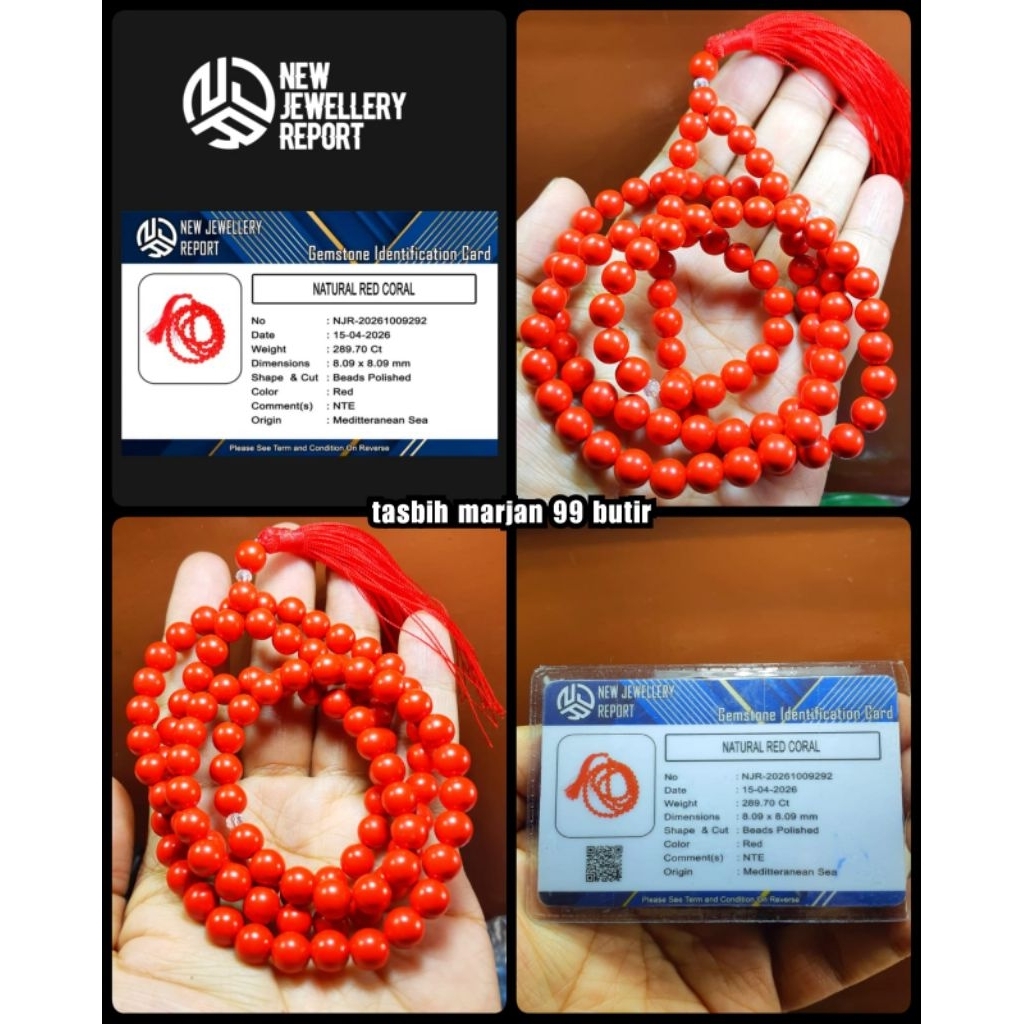 batu tasbih Marjan asli laut merah yemen mediterranean