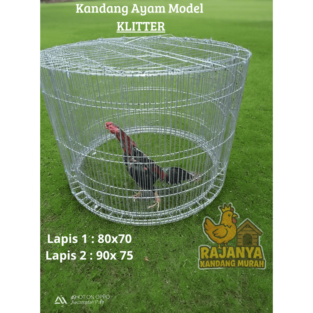 POMO Kandang Ayam / Kurungan Ayam Bahan Galvanis Bentuk KLITER