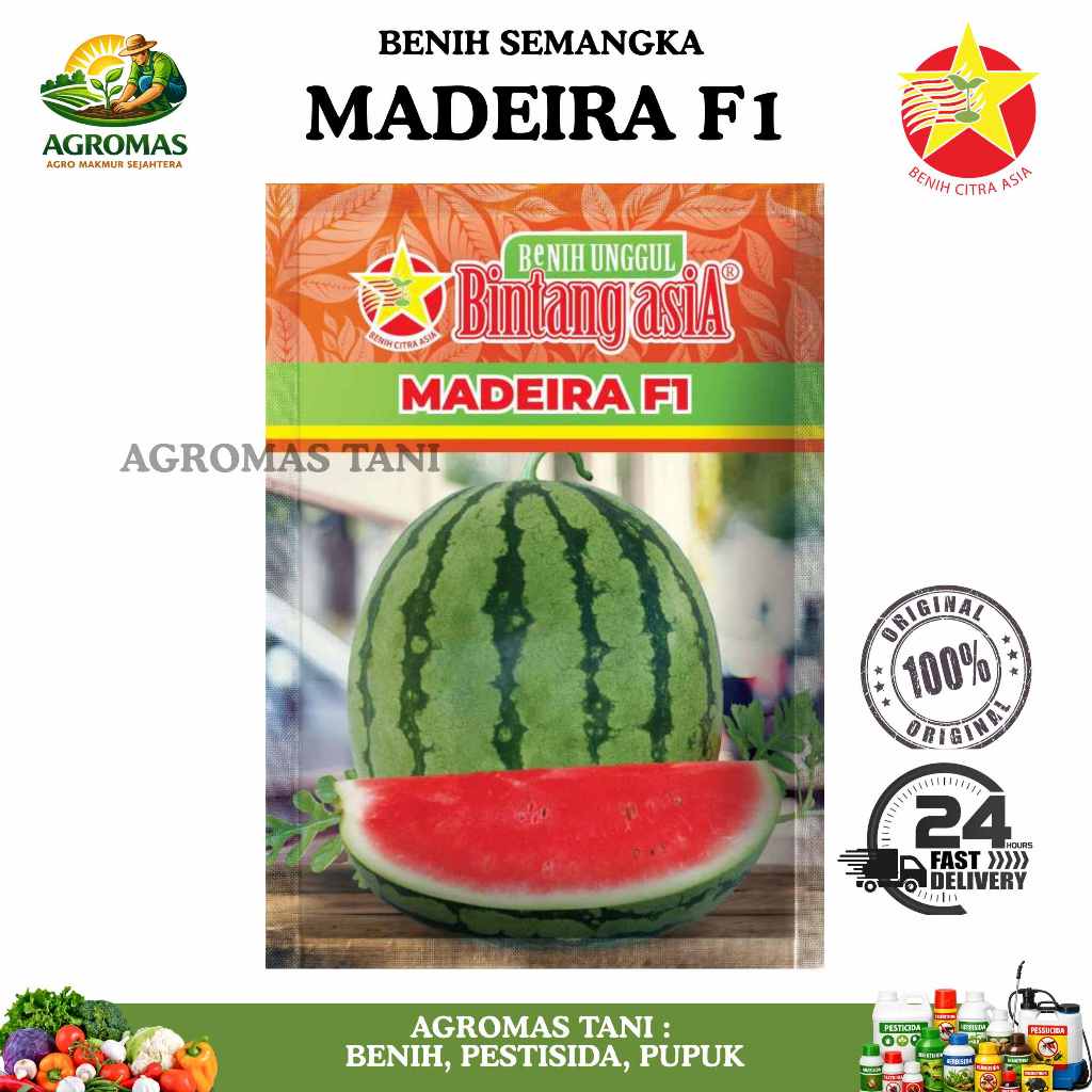 Benih Semangka Madeira F1 20gr CAP BINTANG ASIA