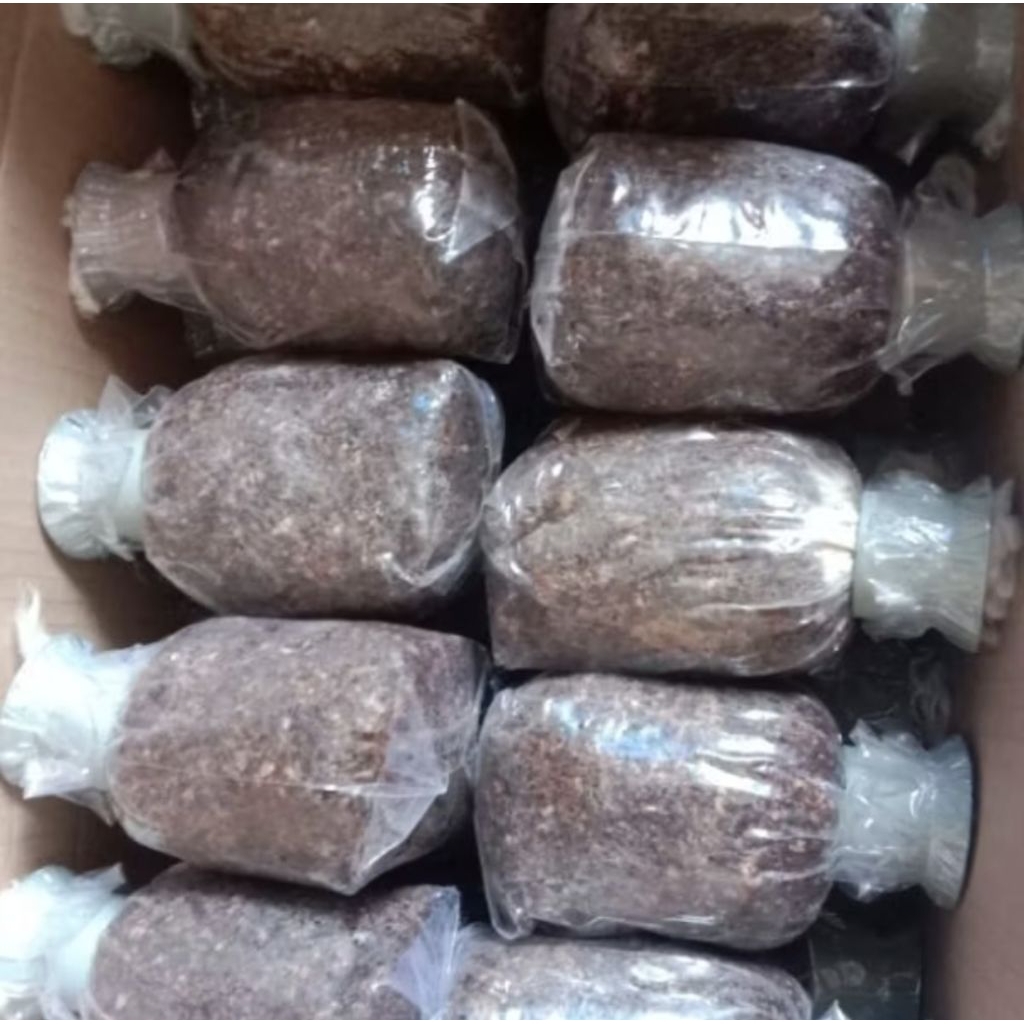 Jual bibit jamur merang putih super isi 4 hasil.panen melimpah
