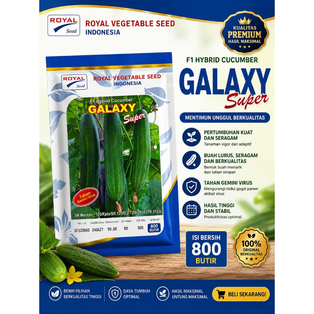Benih Timun Super GALAXY f1 (800butir)