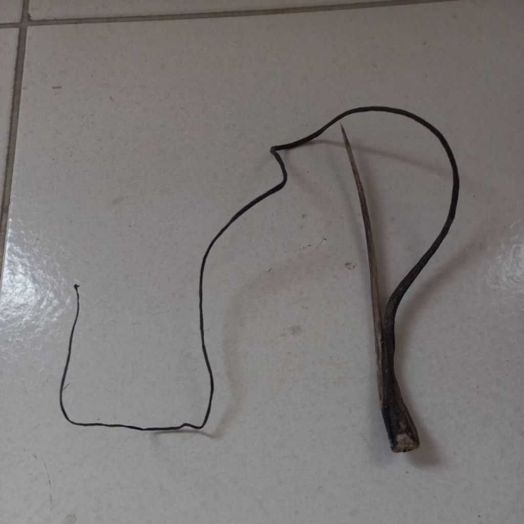 ikuh pai poleng ekor pari Bertaji
