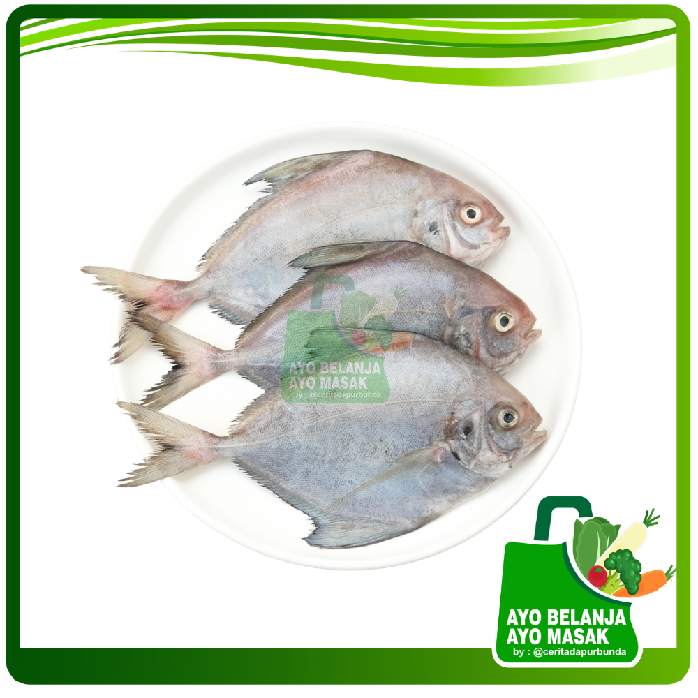 IKAN DORANG SEGAR Per 500 gram [Ayo Belanja - Sayur Jogja]
