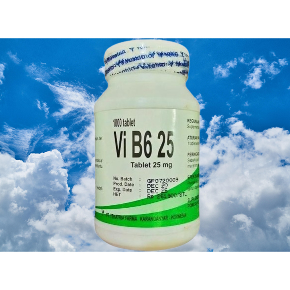vitamin b6 yekatria 25 mg isi 1000