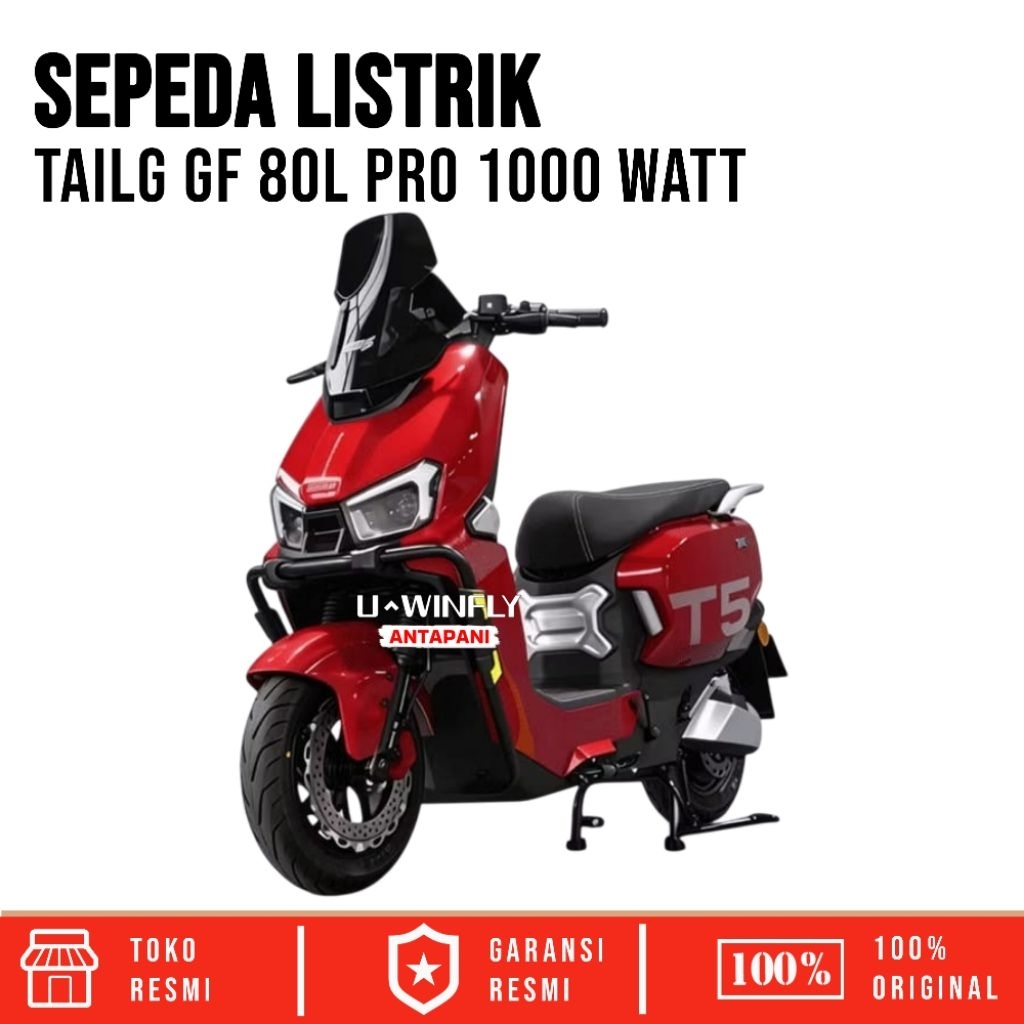 Sepeda Listrik TAILG GF80L PRO Lithium 1000W e bike besar pria anti air