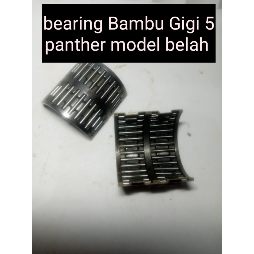 Bearing bambu Gigi 5 panther