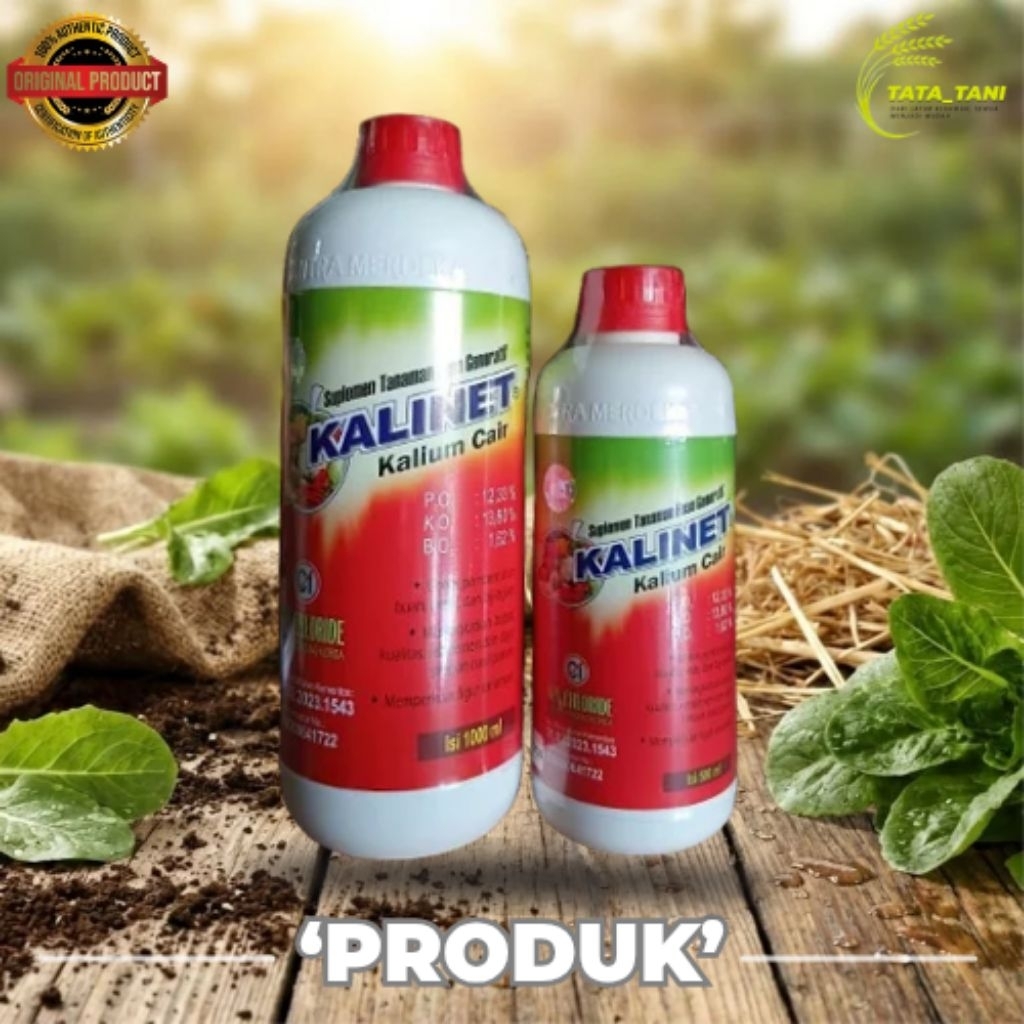 KALINET KALIUM CAIR 500ML NUTRISI : K2O 13,80% + P2O5 12,33% + B2O3 1,62%
