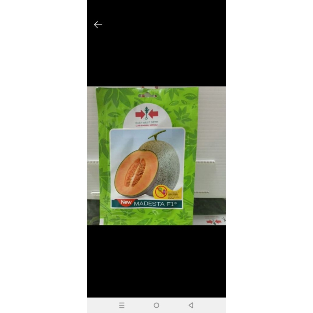 Benih/Bibit melon new madesta F1 40 butir