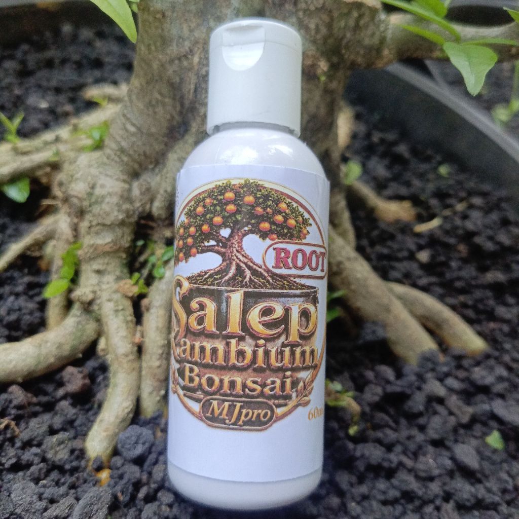 DBS Salep Kambium Bonsai MJpro ROOT 60ml botol Putih untuk akar stek cangkok