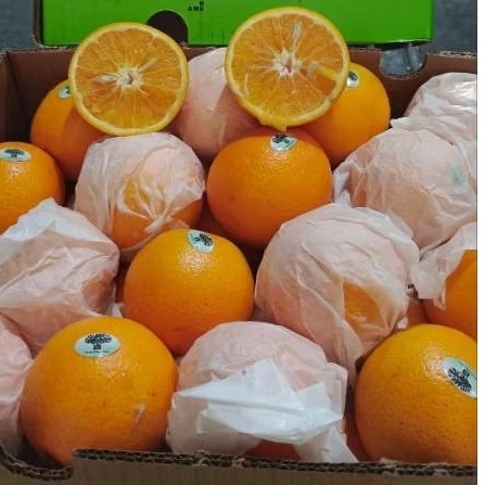Jeruk Sunkist