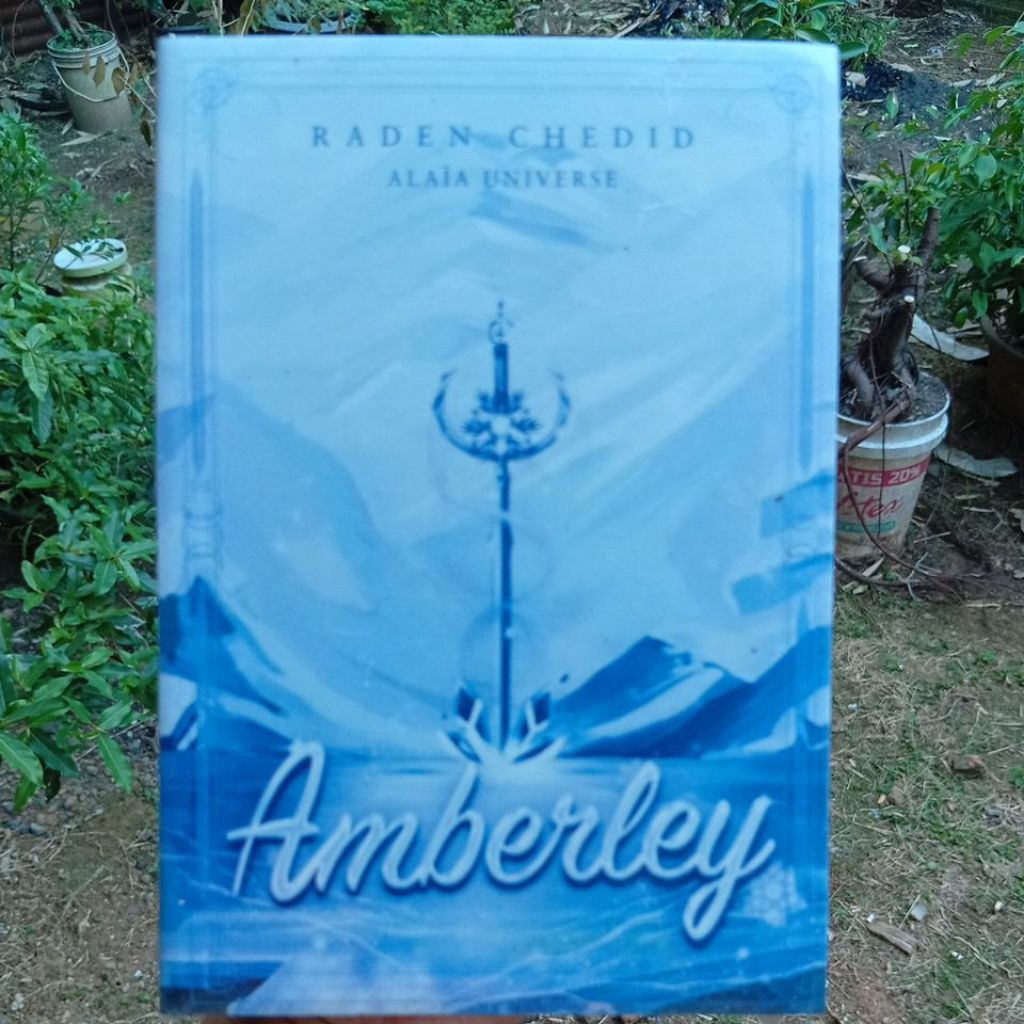 novel Amberley soft cover