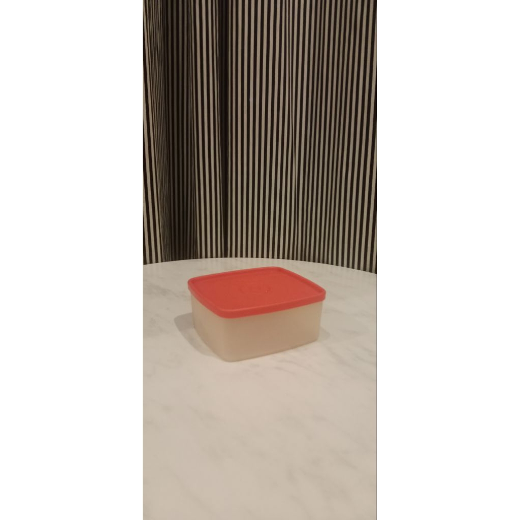 Tupperware Kotak Bekal Basic