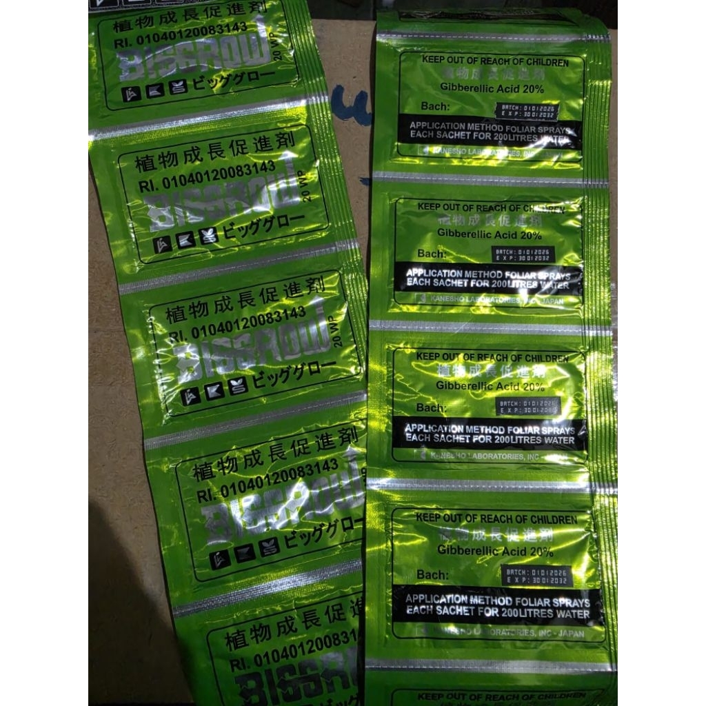 Big Grow 5 gr pembesar buah naga