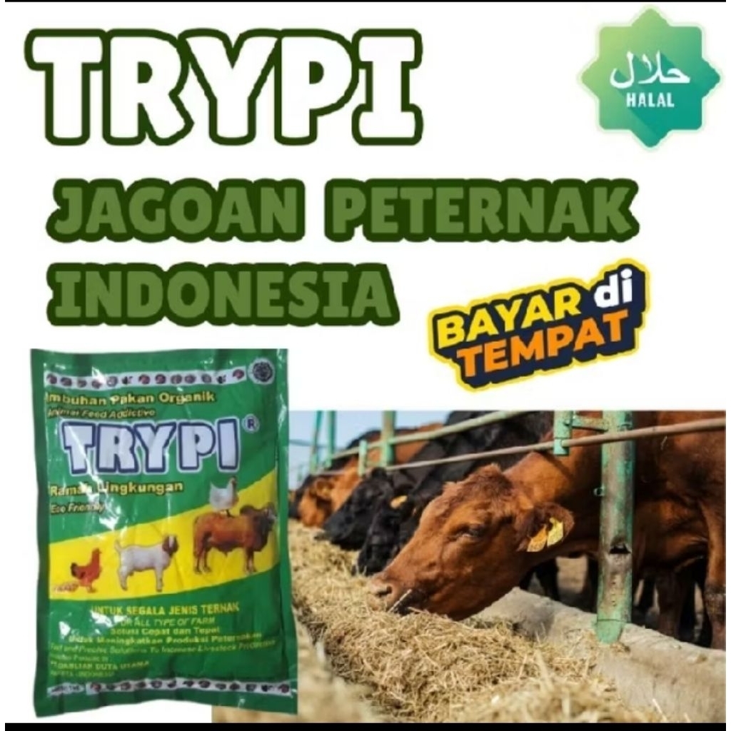 Trypi pakan organik untuk semua hewan ternak