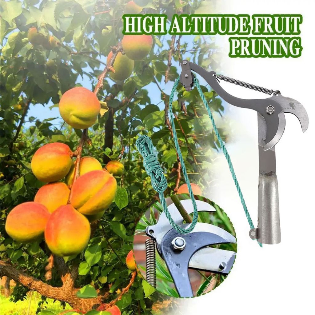 Gunting Dahan Tinggi Ranting Pruning