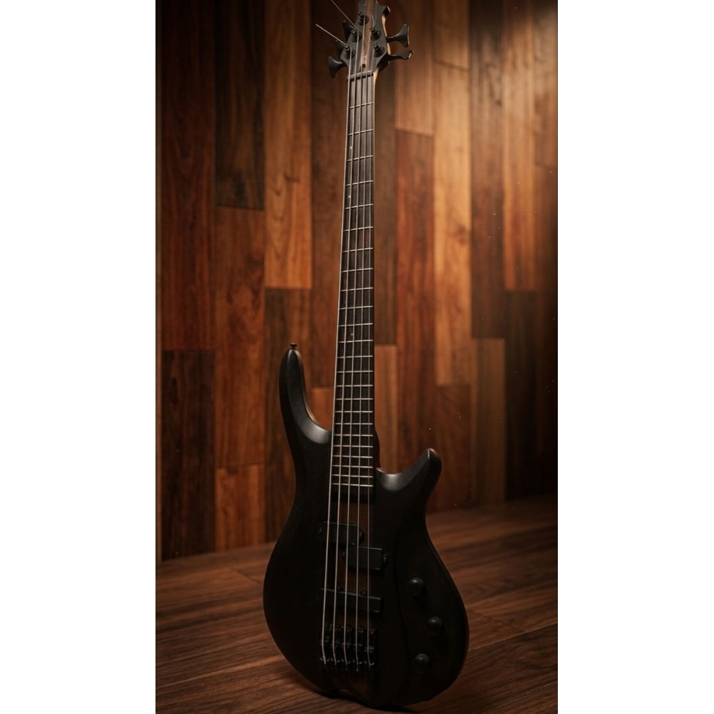 Bass Gilmore 5 Strings Second
