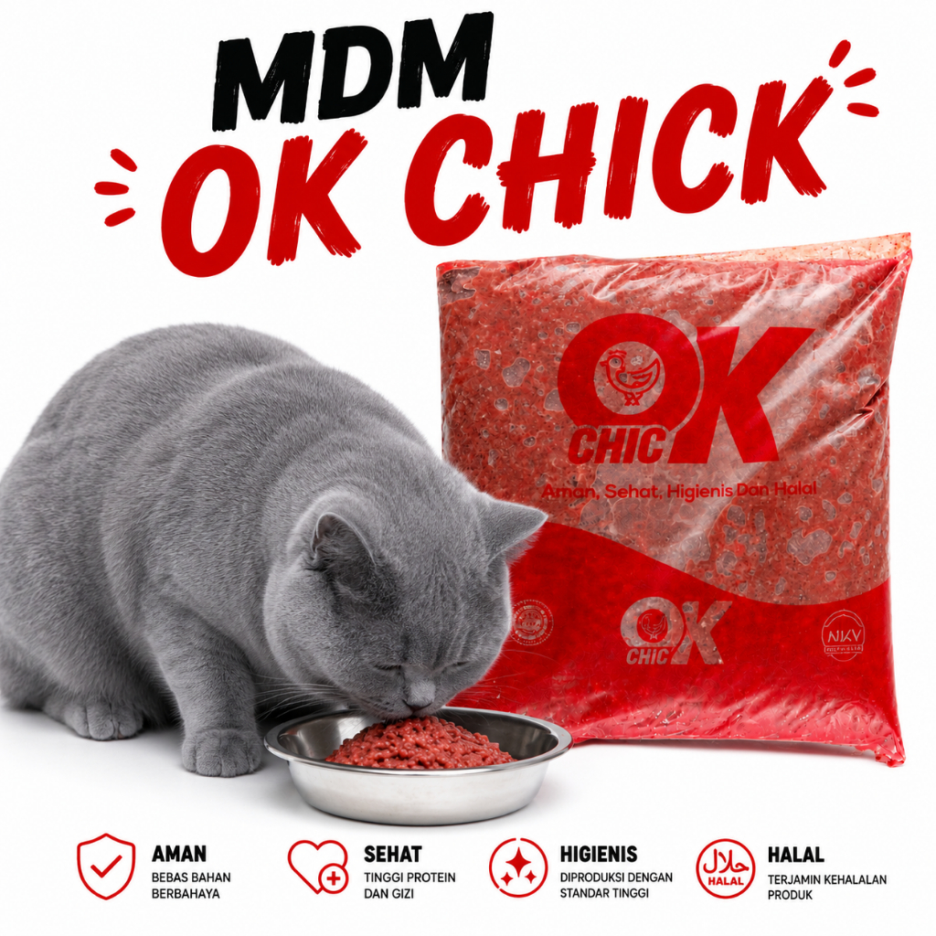 Paket Hemat Daging Ayam Giling MDM Ekonomis 2kg (by MDM Ok Chick)
