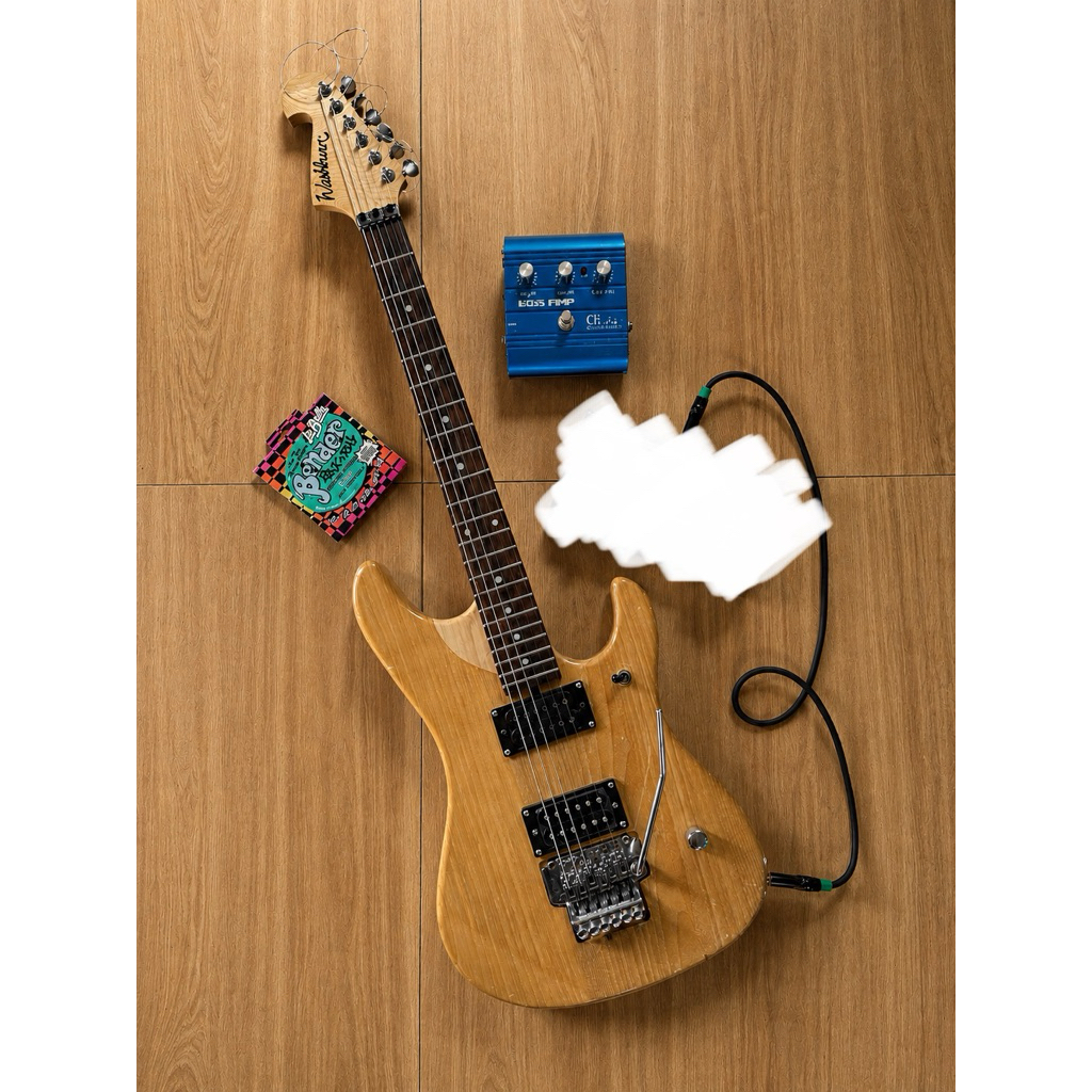 washburn n2 + chorus ch-20