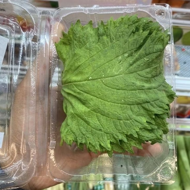 Daun Oba fresh / pack
